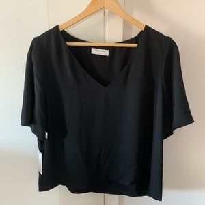 Aritzia Cropped, Sleeveless V-Neck Blouse
